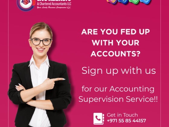Accounting Supervision
