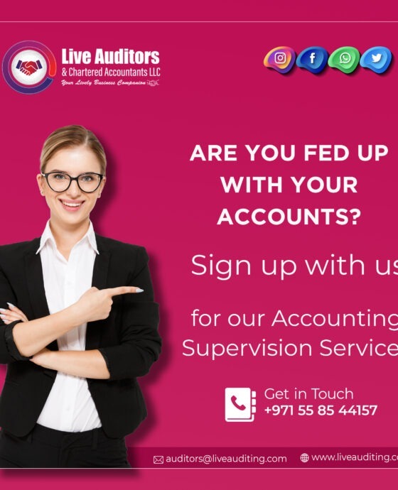 Accounting Supervision