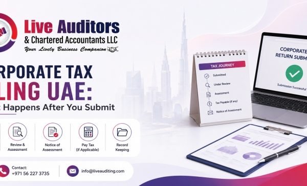 Corporate Tax Filing UAE What Happens After You Submit
