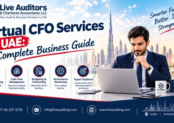 Virtual CFO Services in UAE A Complete Business Guide